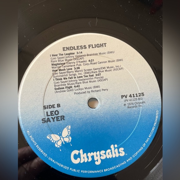 Leo Sayer - Endless Flight - 1976 Chrysalis Records - Picture 8 of 10